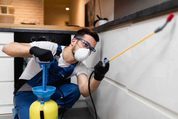 Best Cockroach Control Services  in Toquerville, UT