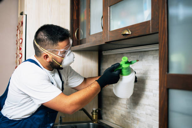 Best Pest Inspection Near Me  in Toquerville, UT