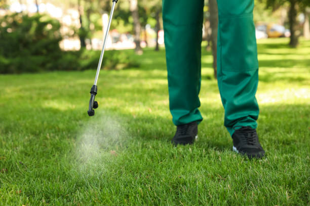 Best Ant Control Services  in Toquerville, UT