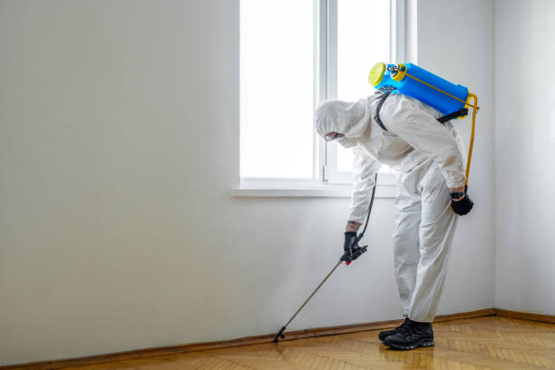 Best Wasp Removal Services  in Toquerville, UT