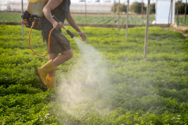 Best Exterminator Services  in Toquerville, UT