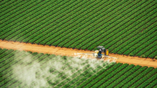 Best Commercial Pest Control Services  in Toquerville, UT