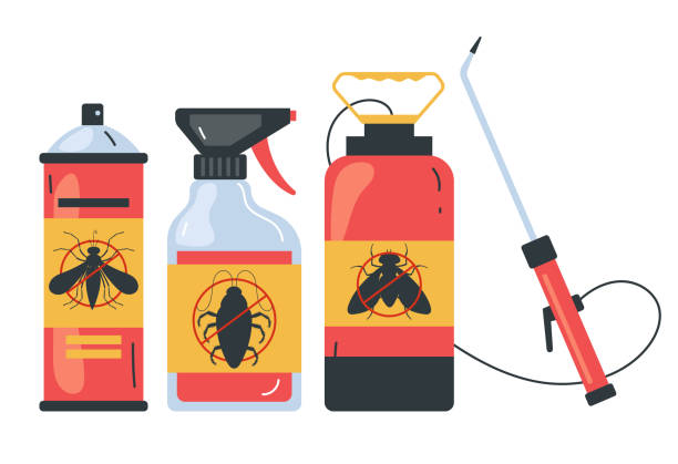 Best Affordable Pest Control Services  in Toquerville, UT