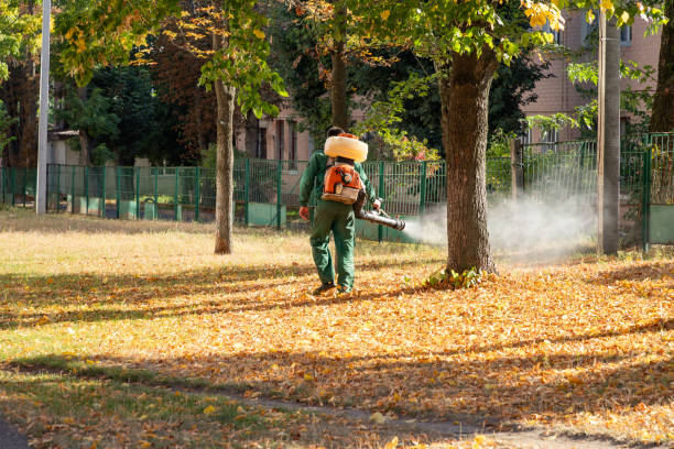 Best Pest Removal Services  in Toquerville, UT